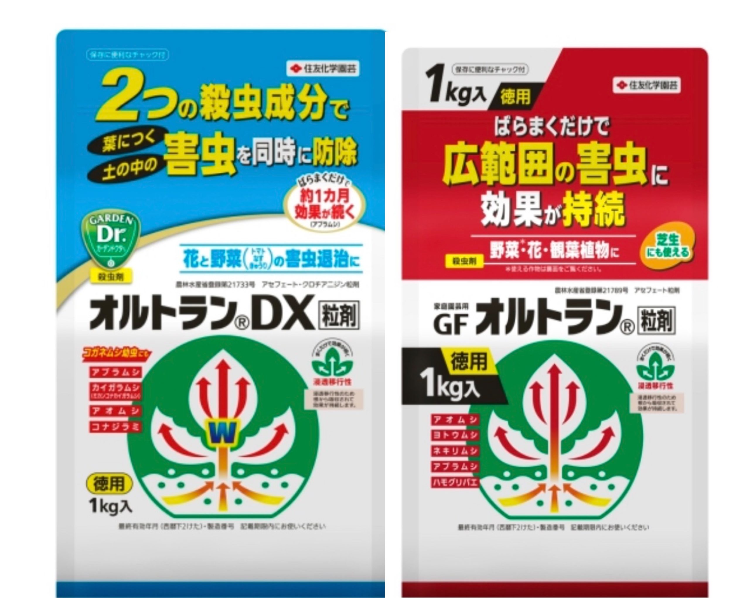 植物】「オルトラン」赤と青の違い | こずきの多肉生活