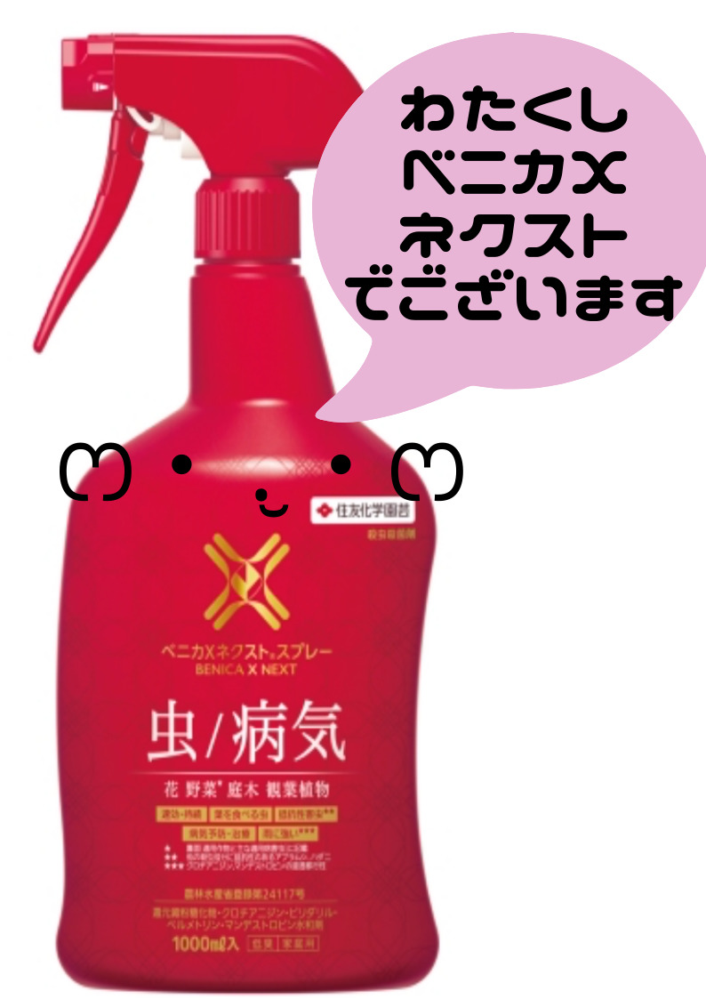 多肉植物 薬剤の正しい使い方 全部で４つ こずきの多肉生活